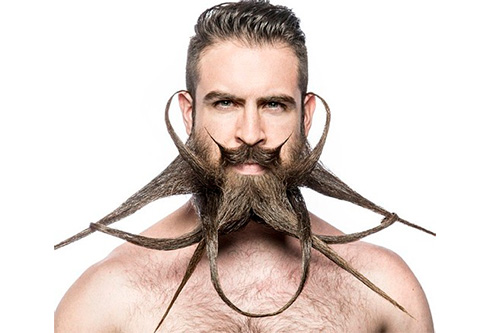 Mr. Incredibeard