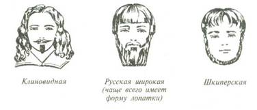 Стрижка бороды