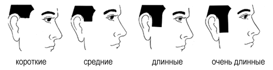 Бакенбарды Бакенбарды