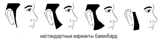 Бакенбарды Бакенбарды